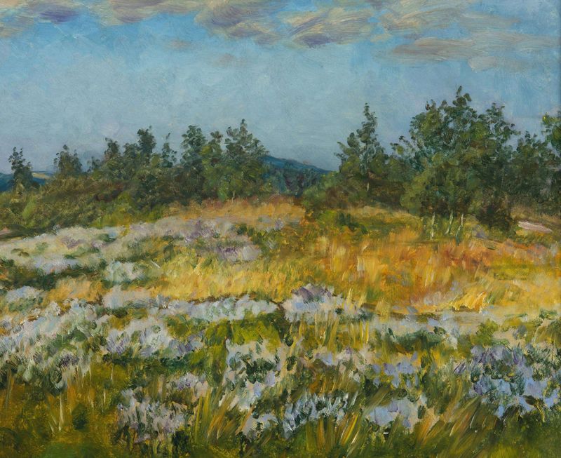 Botanical scene with heather flowers by František Kaván, oil painting