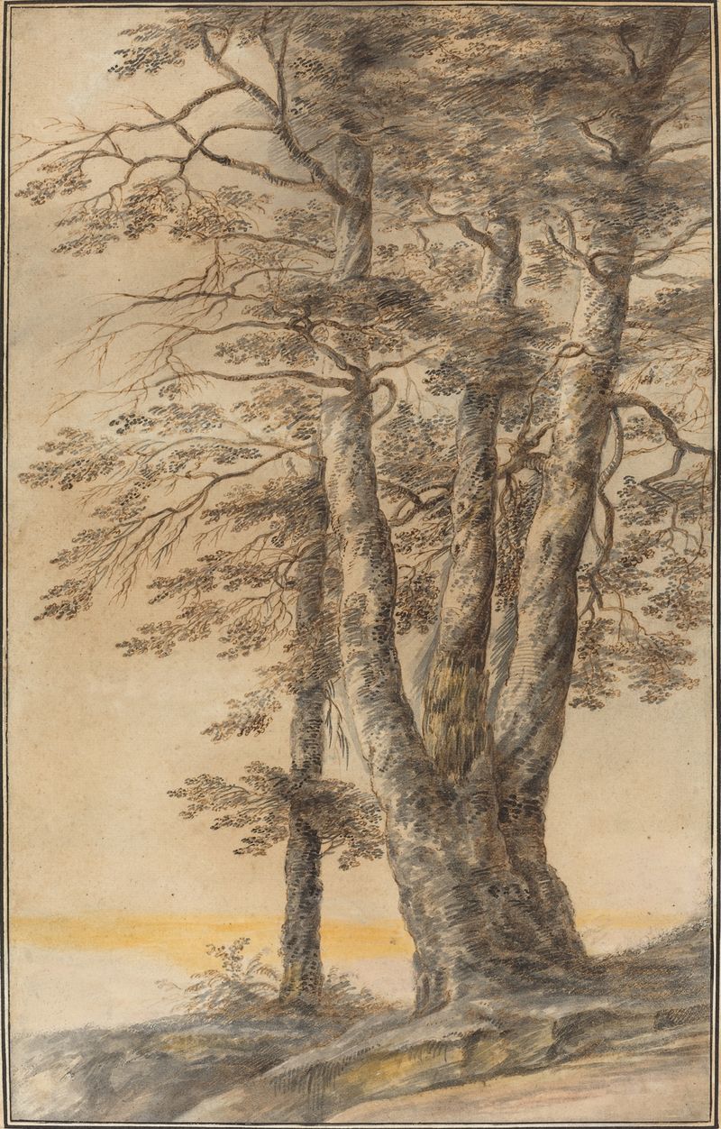 Study of Trees de Lucas van Uden, óleo sobre tela representando árvores e luz filtrada