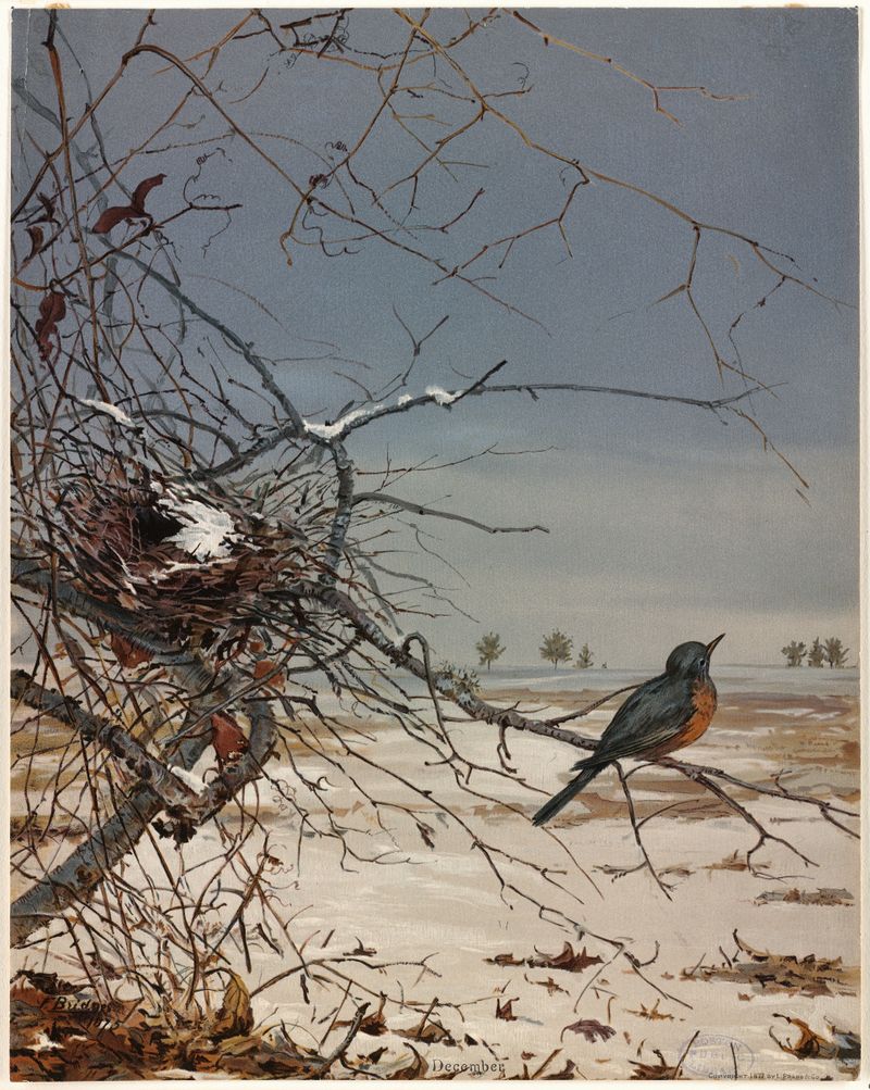 December by Fidelia Bridges, oil painting of a bare branch illuminated by winter light.