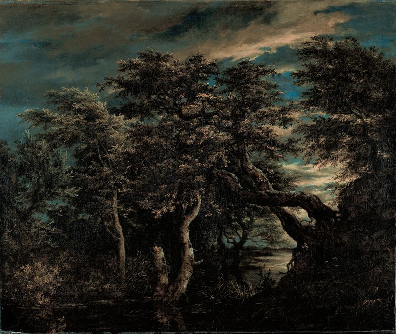 A Marsh in a Forest at Dusk, óleo de Jacob van Ruisdael