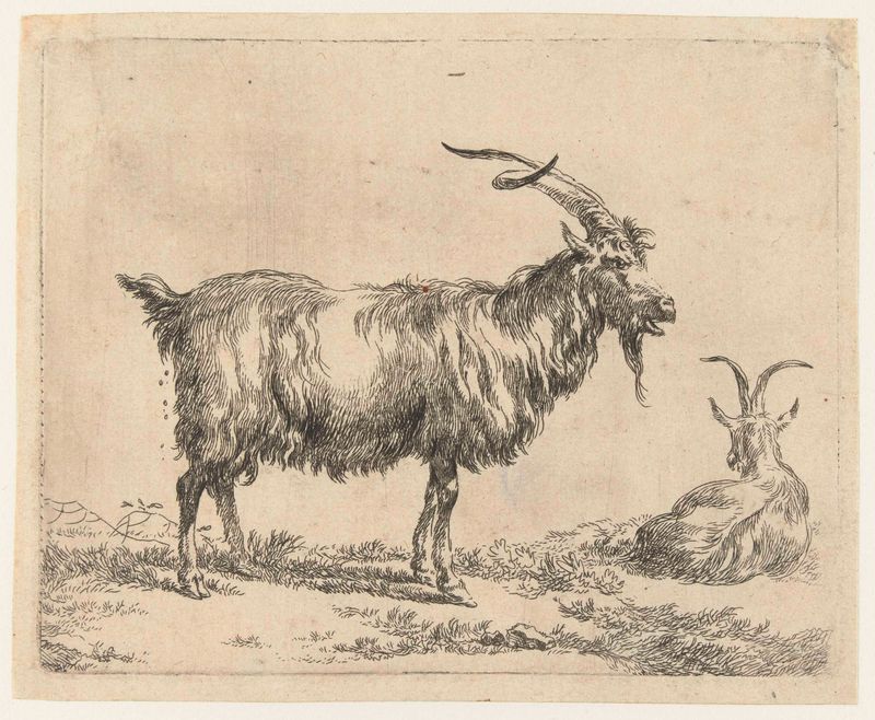 Twee geiten gravura de Nicolaes Pietersz Berchem representando duas cabras em uma paisagem exuberante