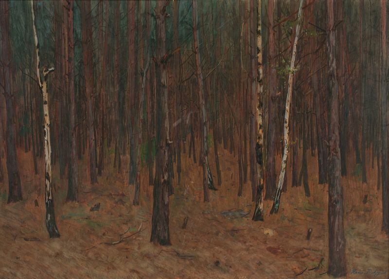 Waldinneres by Hans Tichy, oil on canvas depicting a forest with light filtering through trees.
