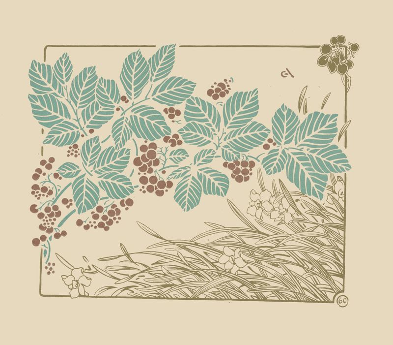 Abstract botanical design in watercolor by George Auriol