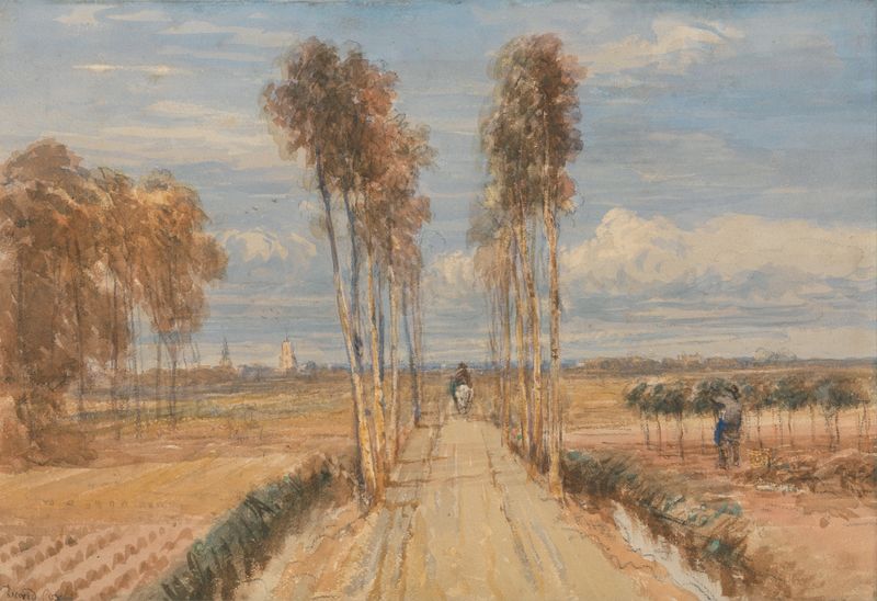 The Poplar Avenue, after Hobbema de David Cox, óleo sobre tela representando altos álamos e um céu brilhante.