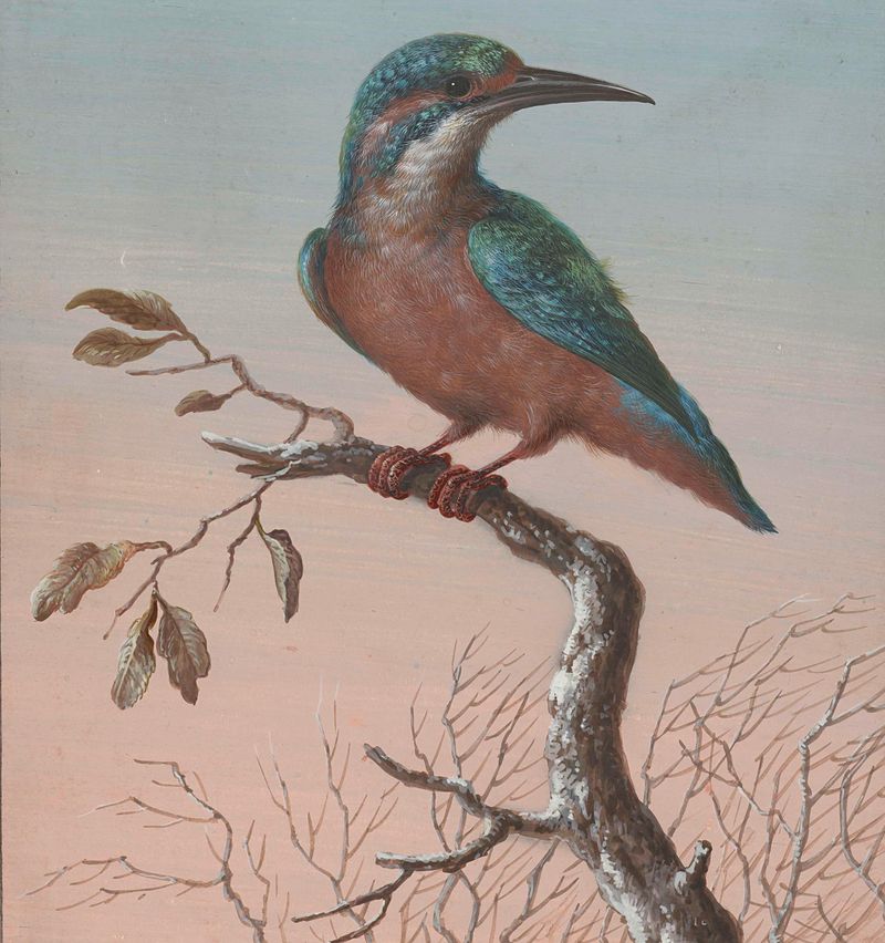 Common Kingfisher watercolor by Barbara Regina Dietzsch, featuring detailed feathers against a wintry background.