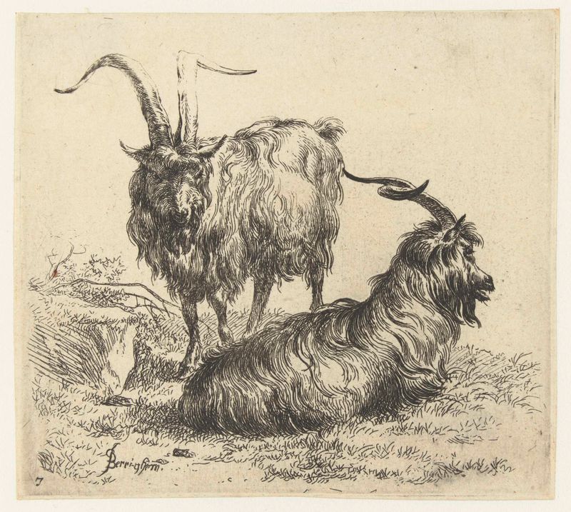Duas cabras em uma paisagem pastoral, gravura de Nicolaes Pietersz Berchem