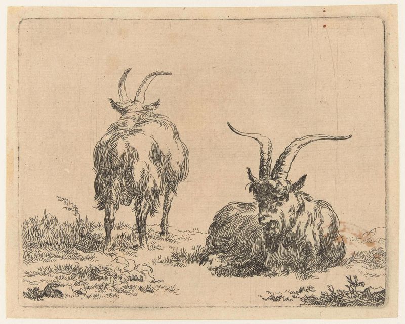 Gravura de Nicolaes Pietersz Berchem mostrando uma cabra em pé e uma deitada