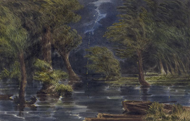 The Chickahominy Swamp by William McIlvaine, oil on canvas depicting a misty landscape with trees.