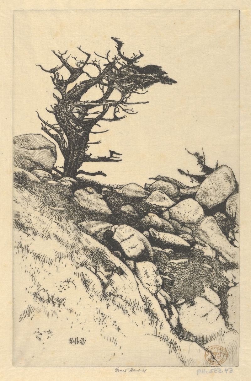 Cypress and Rocks, acuarela sobre papel de Ernest Haskell, que representa un ciprés y rocas en un paisaje sereno.