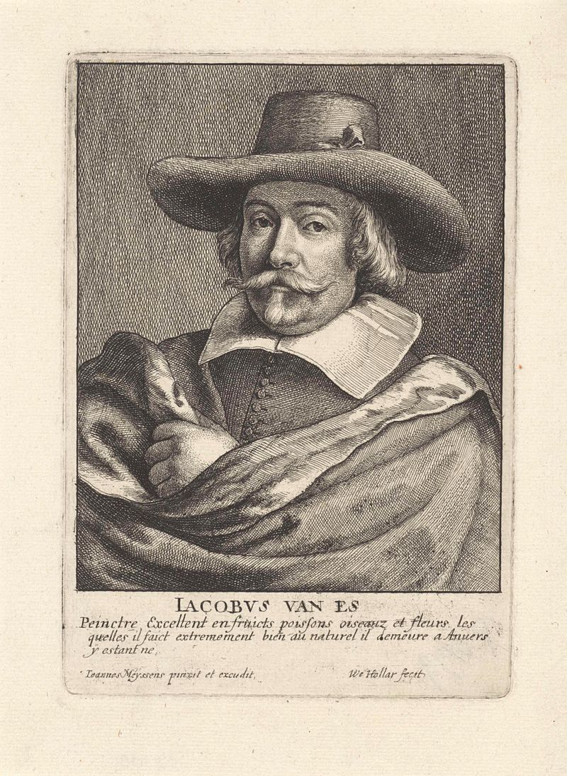 Retrato de Jacob Foppens van Es, gravura de Wenceslaus Hollar