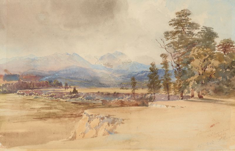 Waipoua de Nicholas Chevalier, óleo de árboles imponentes en un paisaje tranquilo.