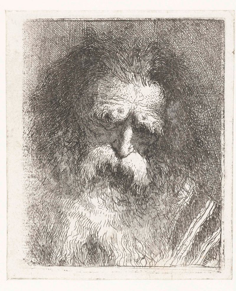 Portrait of an elderly man with a beard, etching by Giovanni Domenico Tiepolo