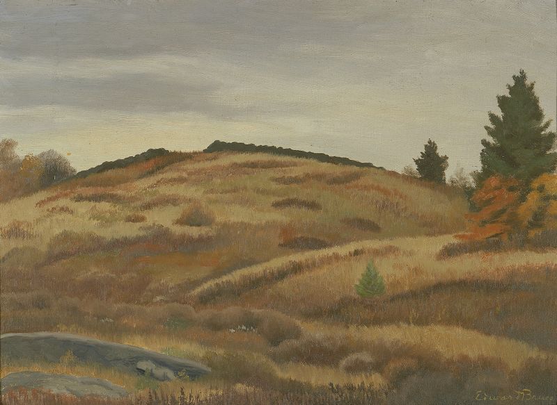 Campos de Outono de Edward Bruce, óleo sobre tela com cores quentes e campos ondulados.