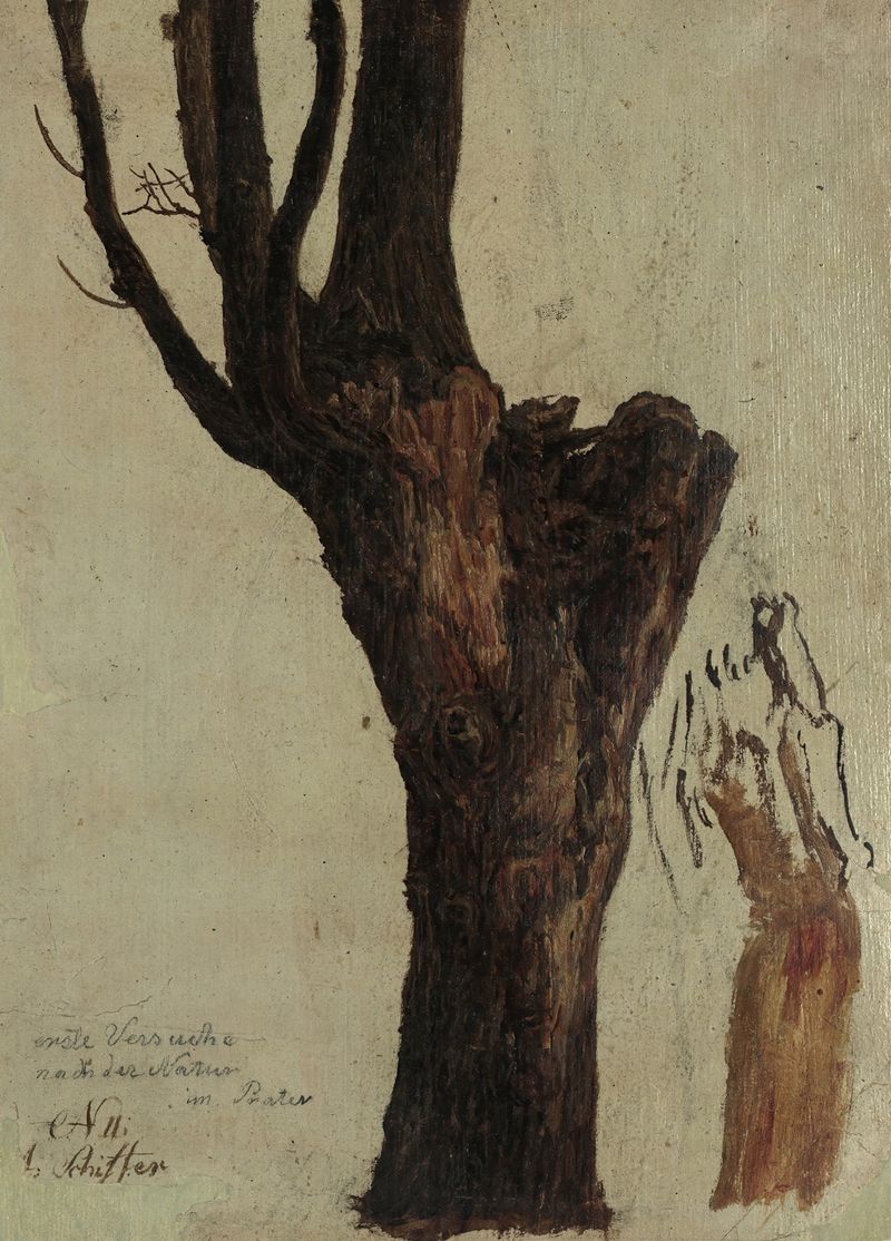 Baumstudie im Prater by Anton Schiffer, oil on canvas depicting towering trees and dappled light.