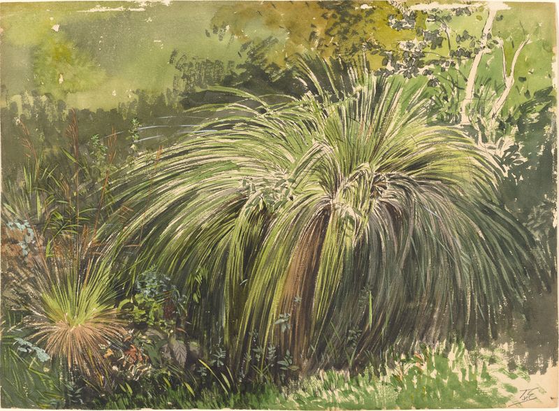A Corner of a Meadow with Fountaingrass by Themistokles Von Eckenbrecher, oil painting depicting sunlight on grass.
