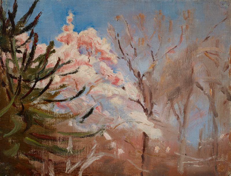 Paisaje de colinas primaverales de Jan Ciągliński, óleo sobre lienzo