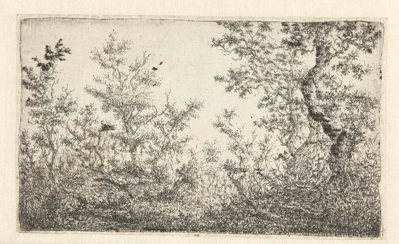 Gravura de Claes van Beresteyn mostrando uma serena clareira na floresta com luz filtrada.