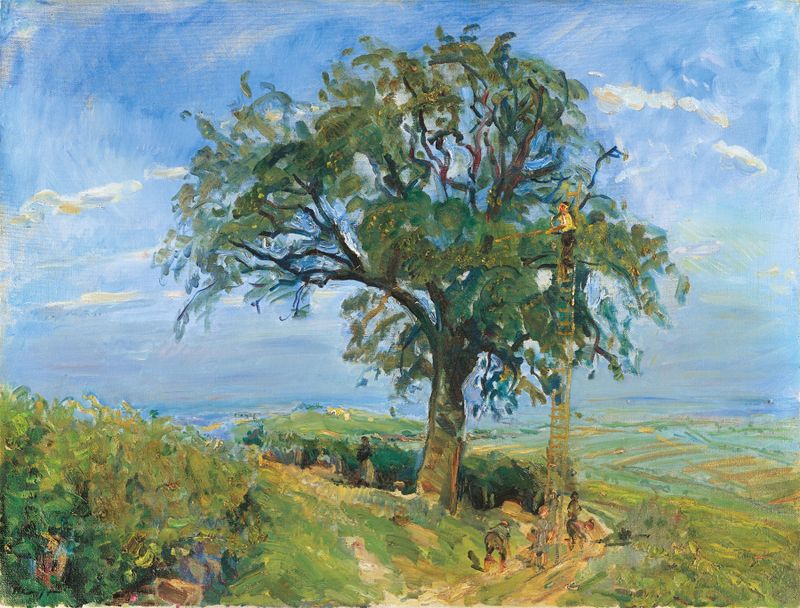 Botanical scene with a pear tree, oil painting by Max Slevogt