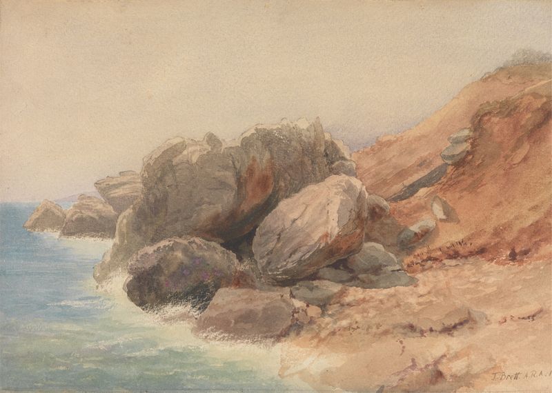 Study of Rocks by John Brett, oil on canvas, depicting detailed rocks and nature.
