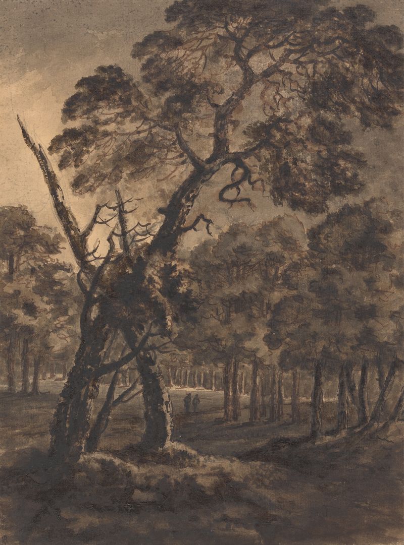 Aquarela de William Gilpin retratando uma cena de floresta com árvores imponentes e luz filtrada.