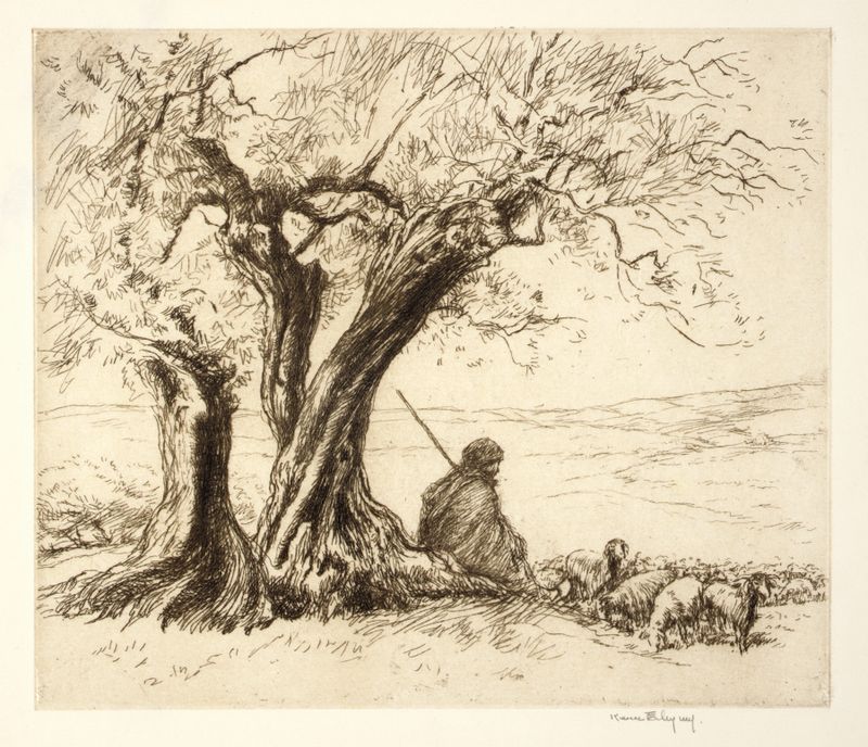 Goatherd en un paisaje argelino bañado por el sol, pintura al óleo de Kerr Eby