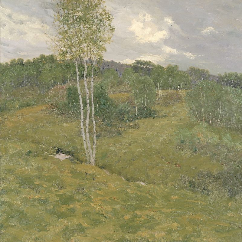 Birch-Clad Hills by Ben Foster, impressionism, depicting birch trees and green hills with dappled light.