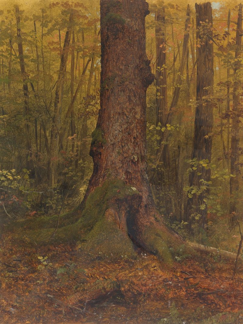 Pintura a óleo de Frederic Edwin Church que retrata uma floresta exuberante com luz filtrada.