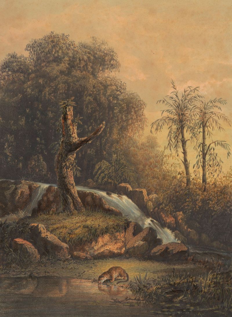 Landschap met waterval en drinkend luipaard, óleo sobre tela de Johan Conrad Greive