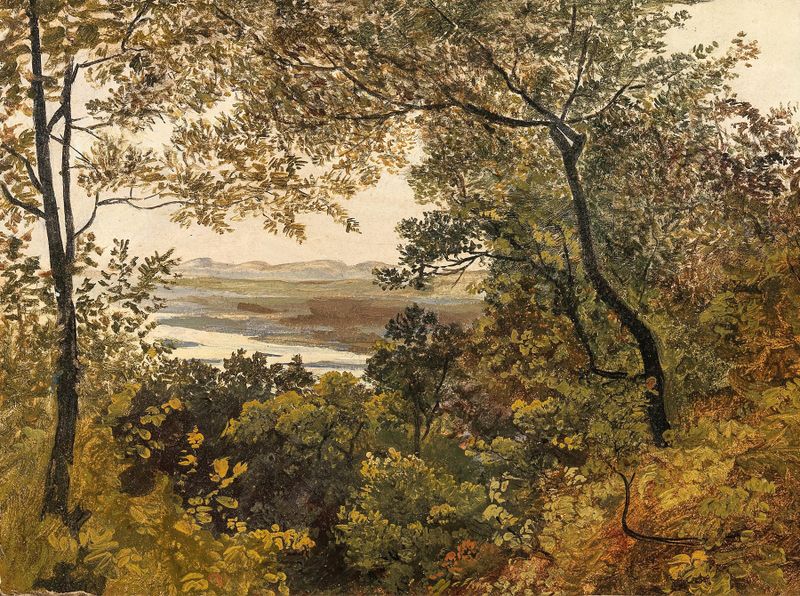 Landscape depicting the Danube River by Circle of Friedrich Gauermann, medium unknown.