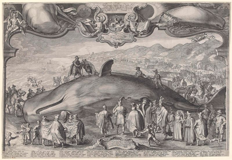 Gestrande walvis bij Beverwijk, grabado de Jan Saenredam, que representa una ballena varada en la orilla.
