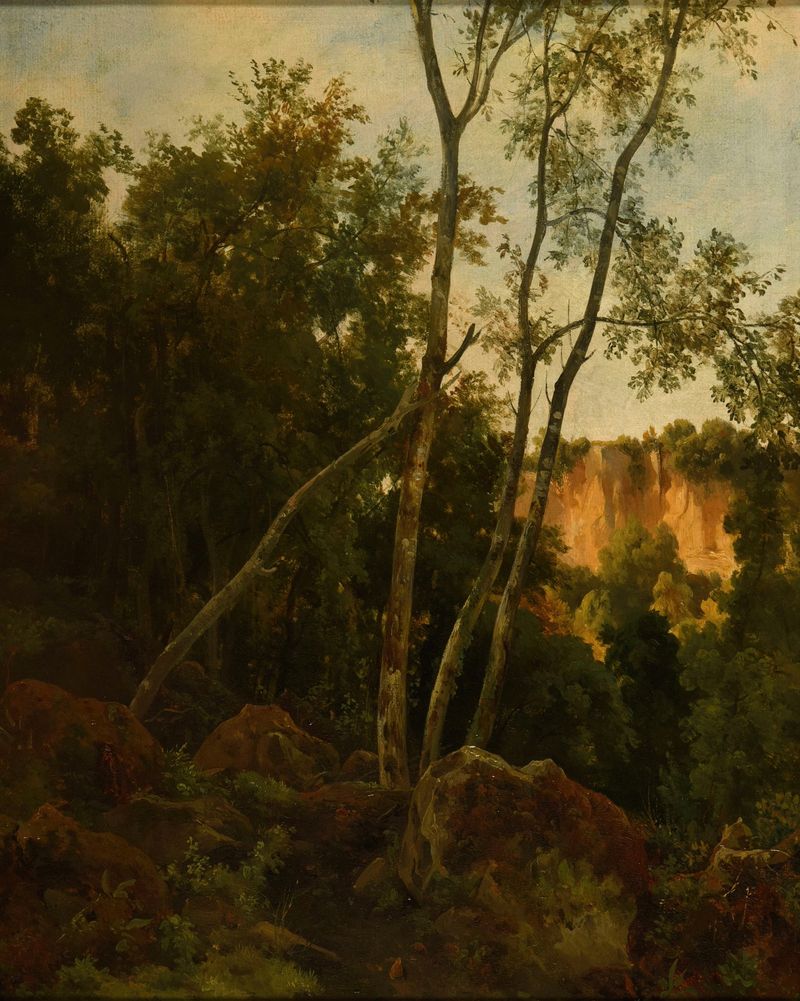 Forêt avec rochers de Jacques-Raymond Brascassat, óleo sobre lienzo que representa un paisaje forestal tranquilo.