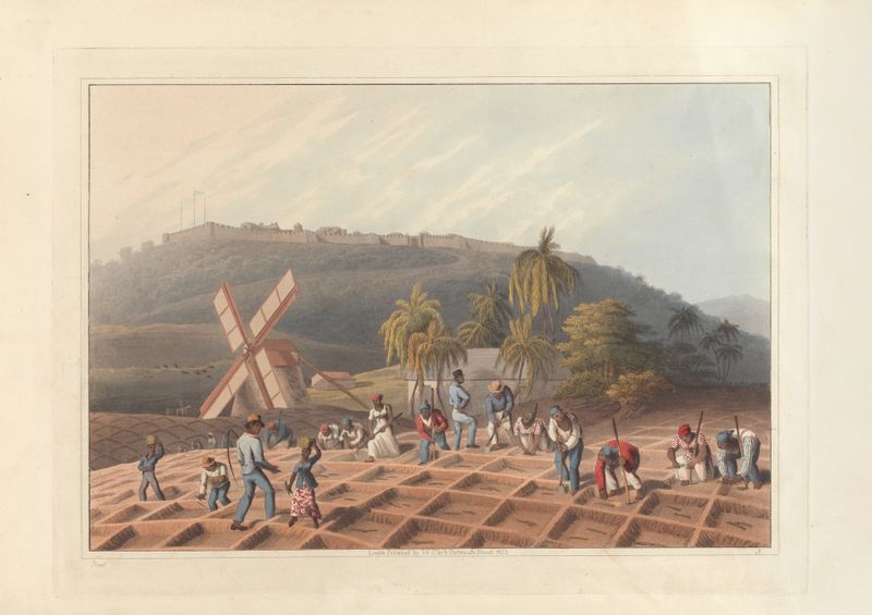 Genre scene of workers planting sugar cane, oil painting by William A. V. Clark