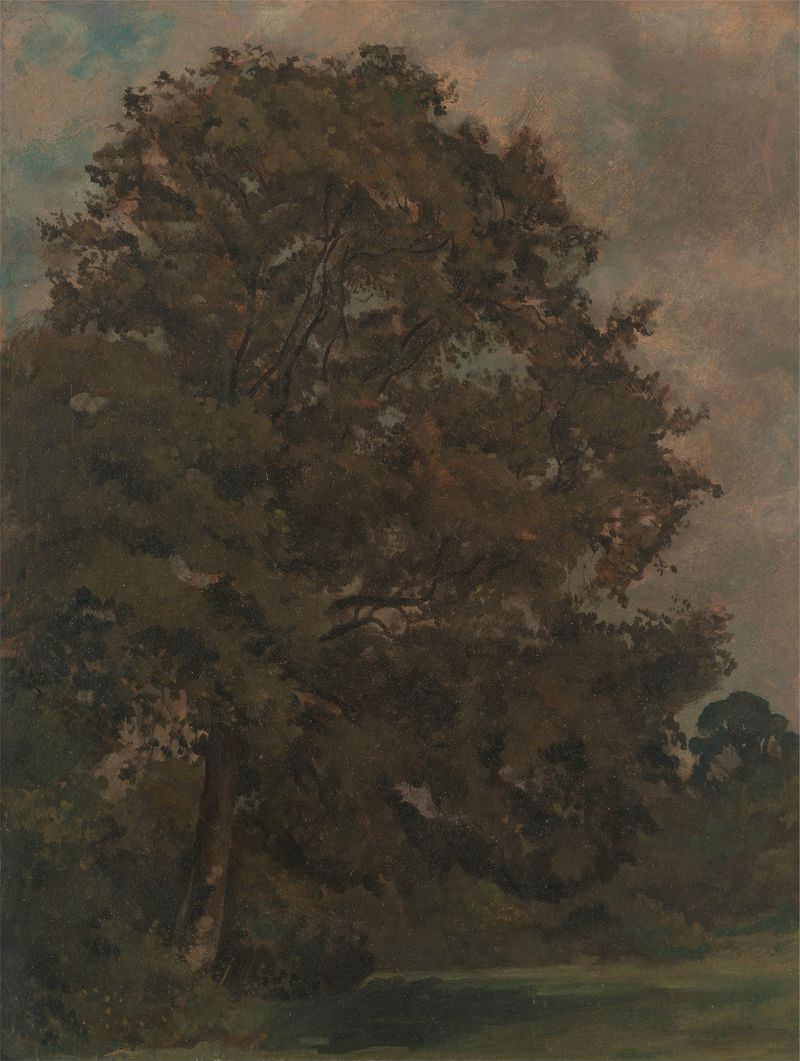 Study of an Ash Tree by Lionel Constable, watercolor on paper depicting intricate branches and light.