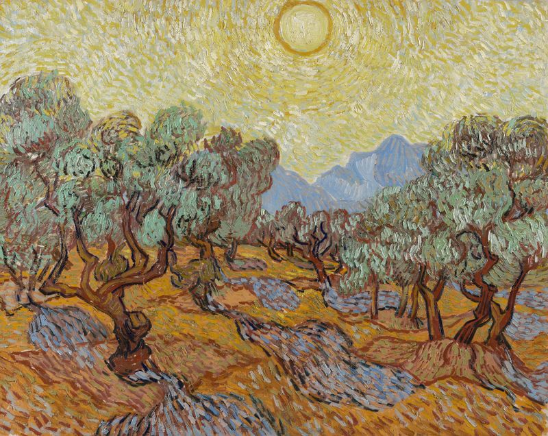 Olive Trees by Vincent van Gogh, oil on canvas, featuring gnarled trunks and vibrant colors.