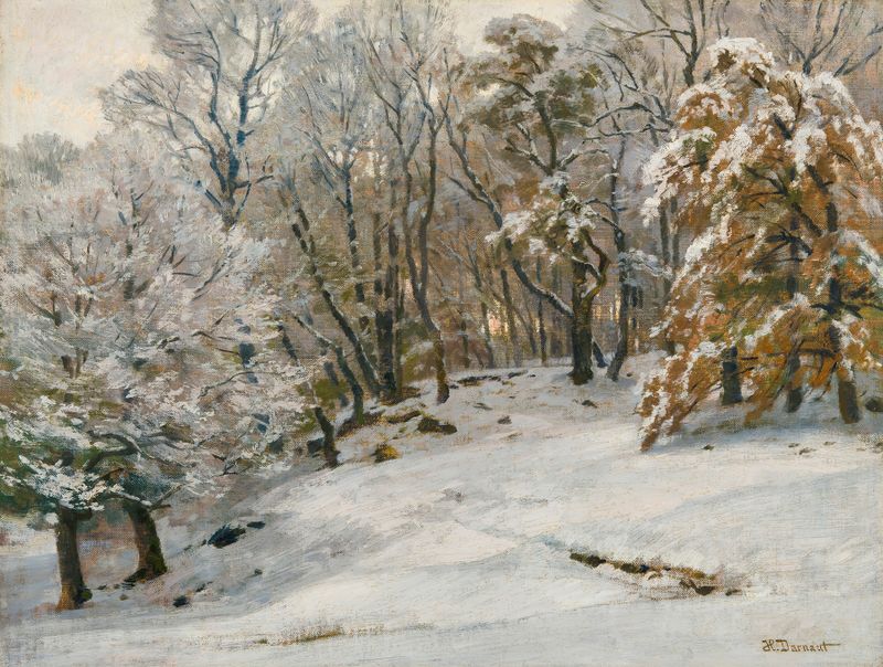 Paisagem invernal de Hugo Darnaut, retratando neve e um horizonte desolado.