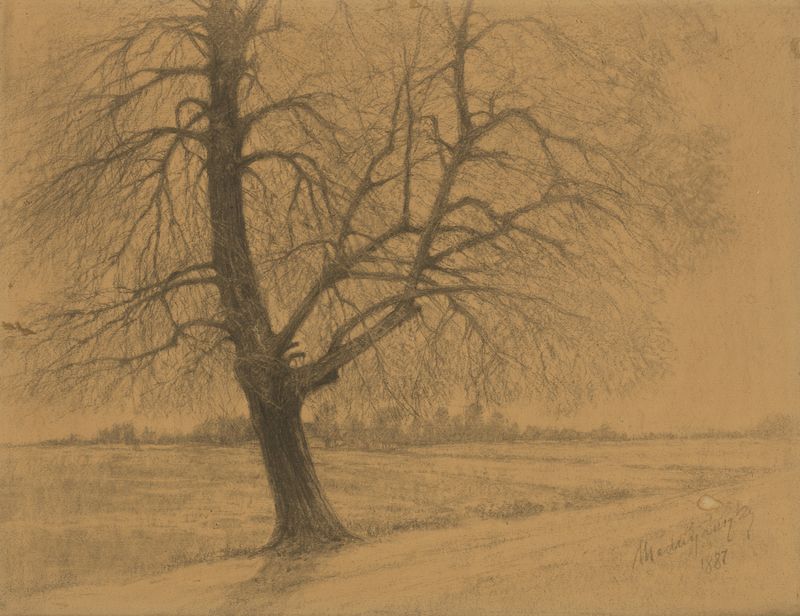 Árbol de Ladislav Mednyánszky, Simbolismo, que representa un árbol solitario en tonos terrosos.