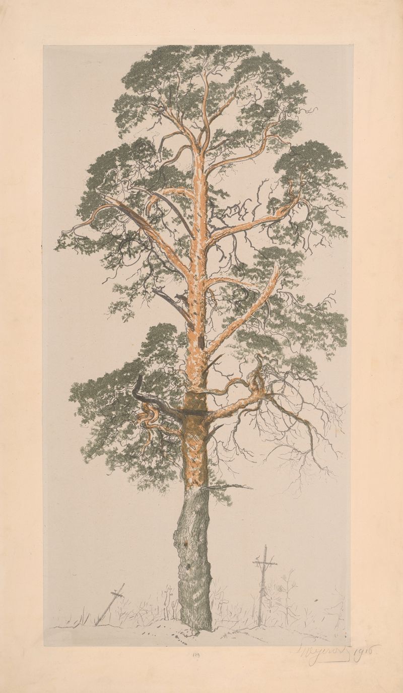 Pine tree in a cemetery, oil painting by Leon Wyczółkowski