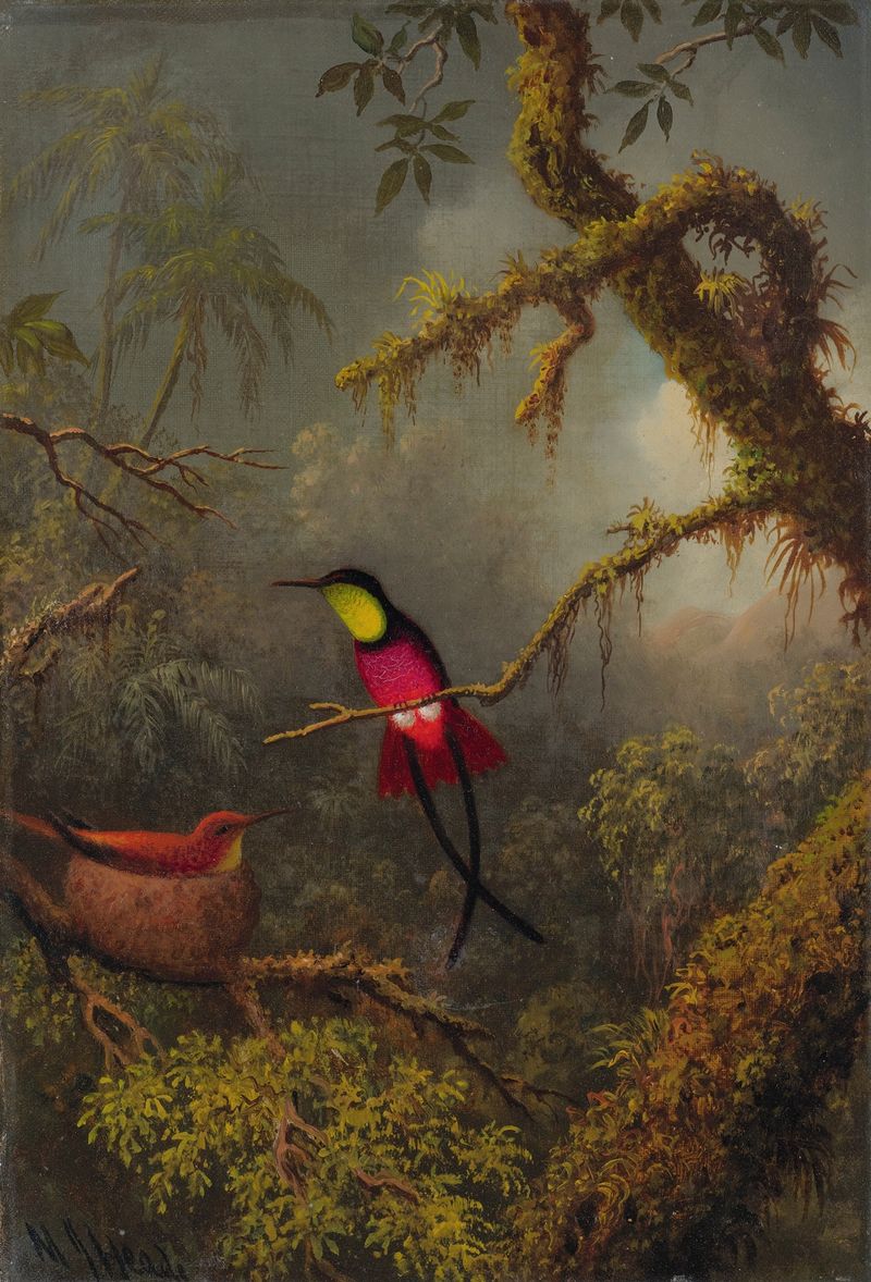 A Pair Of Nesting Crimson Topaz Hummingbirds, oil on canvas by Martin Johnson Heade