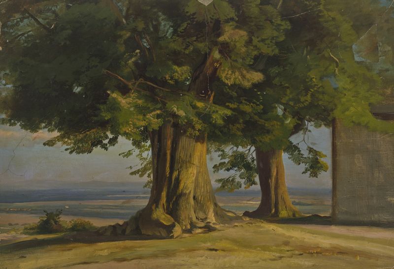 Paisaje con árboles retorcidos en óleo de Jakob Becker