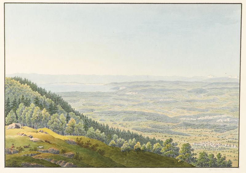 Paisaje con un pabellón y vegetación de Jakob Samuel Weibel