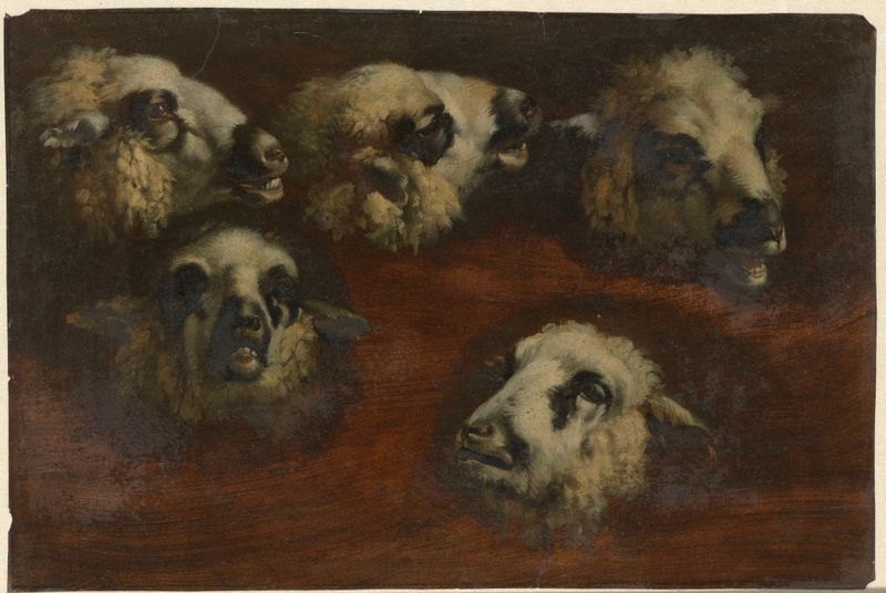 Five Studies of the Head of a Sheep, oil on paper by Jacob van der Does