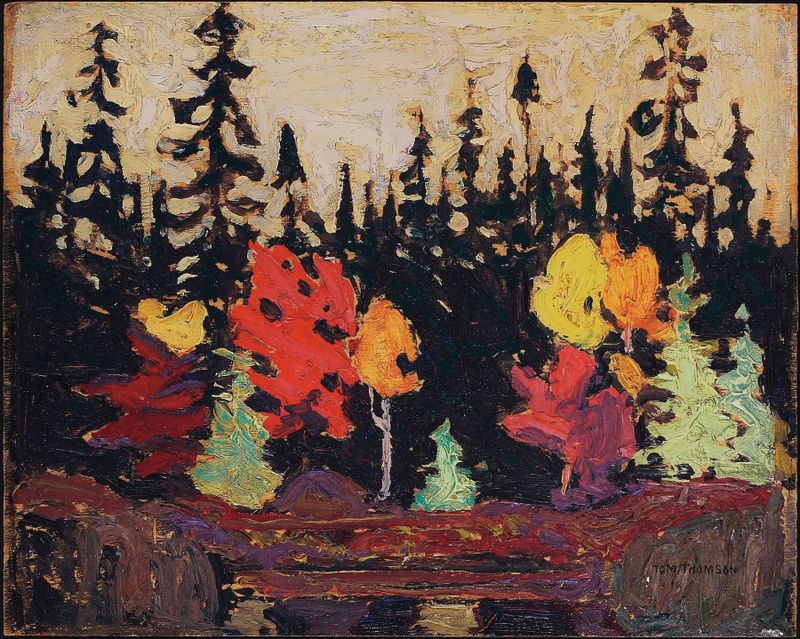Black Spruce and Maple by Tom Thomson, oil on canvas depicting a forest with spruces and maples.