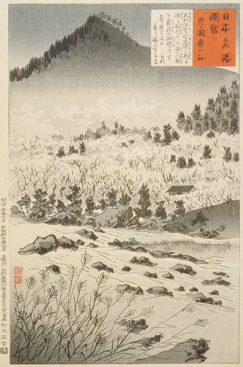 Impresión en madera de Kobayashi Kiyochika que representa un valle sereno con exuberante vegetación