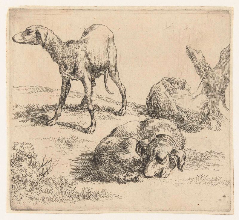 Tres perros descansando en la naturaleza, grabado de Nicolaes Pietersz Berchem