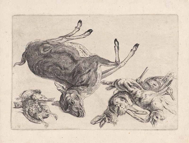 Gravura de Wenceslaus Hollar representando um cervo morto, lebres e pássaros.