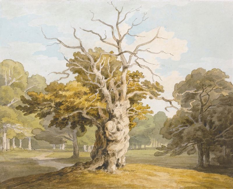 Uma árvore de carvalho em uma paisagem, pintura a óleo de John White Abbott