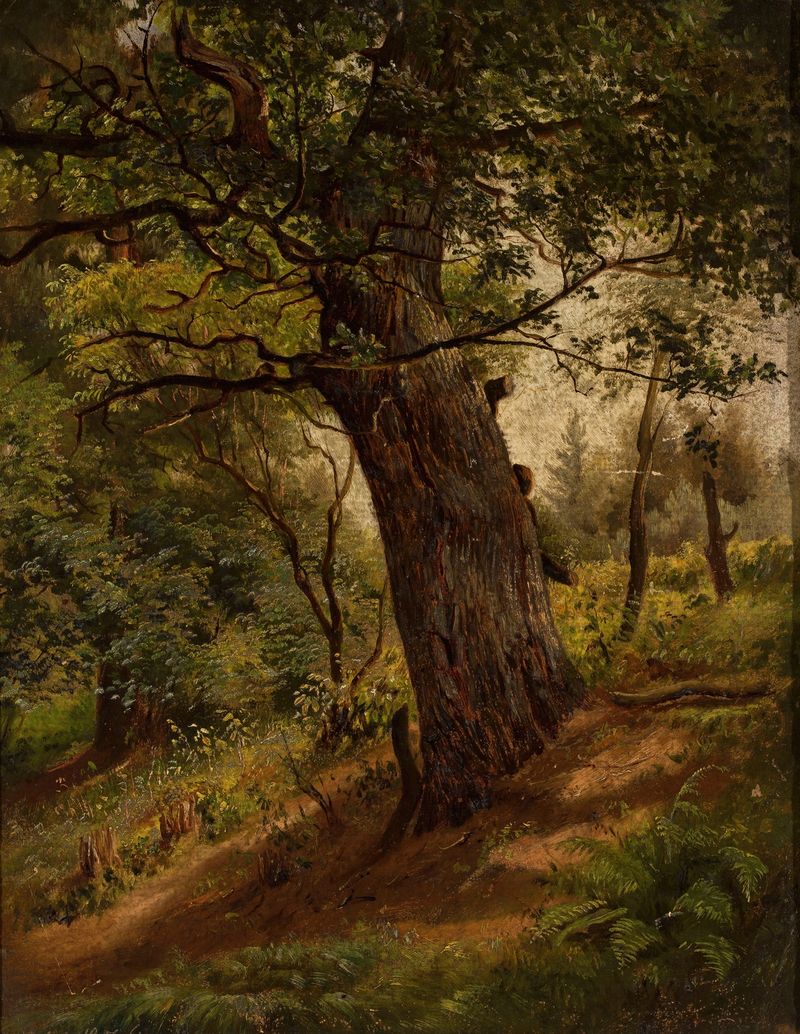 Estudo de uma árvore de Wilhelm Peter Bayer, aquarela sobre papel, retratando a sombra de uma árvore e detalhes da casca.