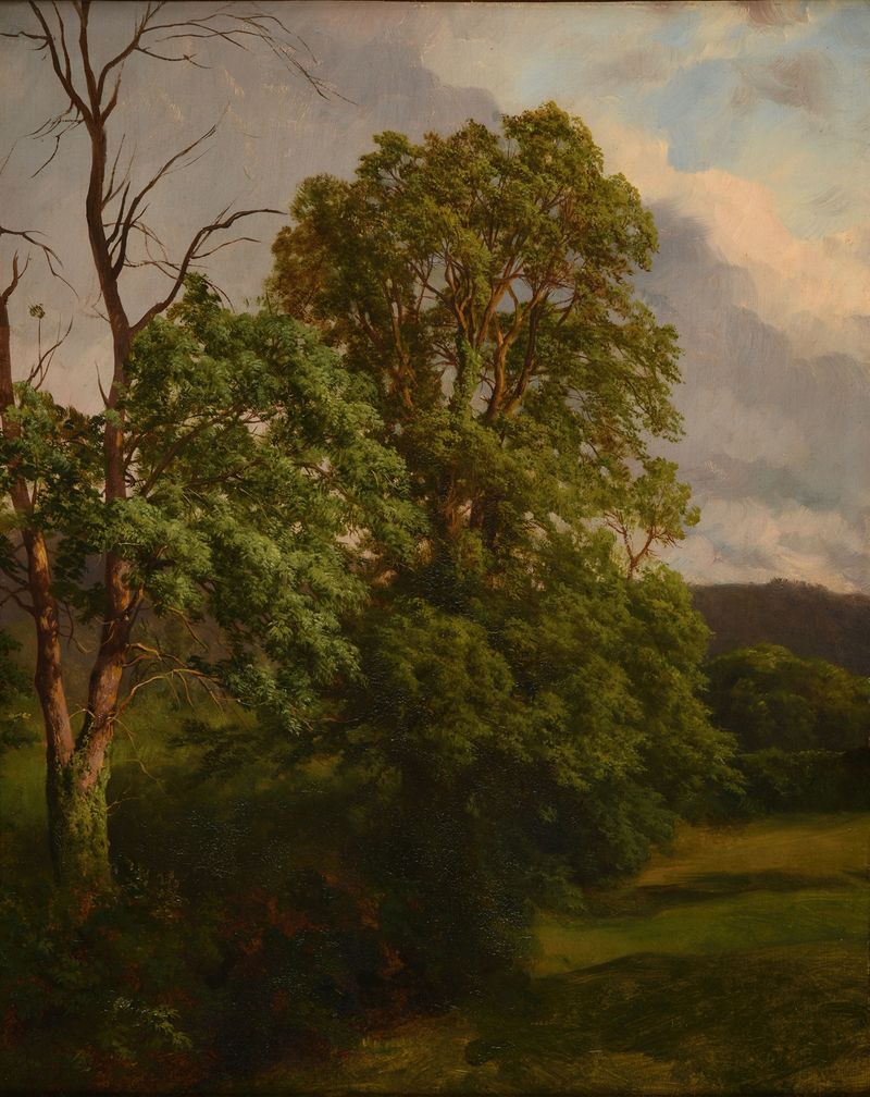 Paisagem com carvalhos, pintura a óleo de Jacques-Raymond Brascassat