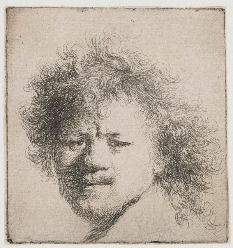 Autorretrato com cabelo longo e volumoso, gravura de Rembrandt van Rijn