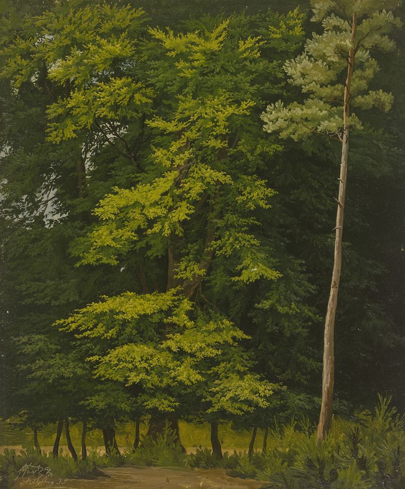 Broadleaf forest study in oil by Christian Heerdt, depicting vibrant greenery and intricate foliage.